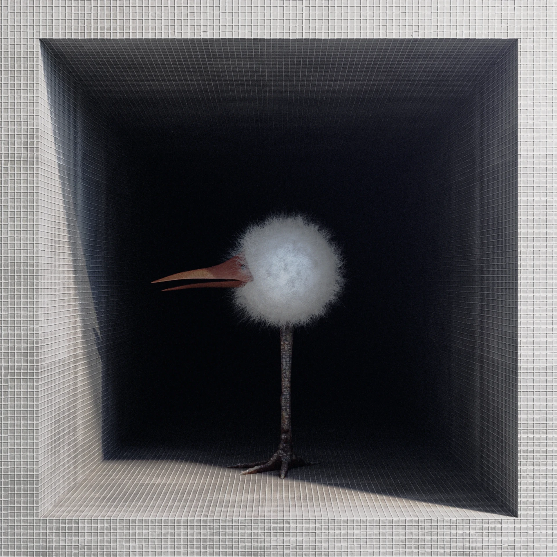 Bird — Published on ArtStation.